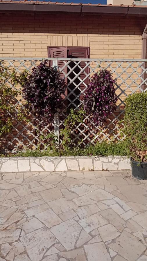 Rosilienza Suites Private Spa, Patio Garden Free Trasfer To & From Airport 菲乌米奇诺 外观 照片